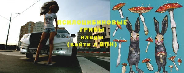 каннабис Гусев