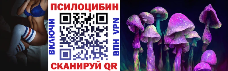 Галлюциногенные грибы Psilocybe  Костомукша 