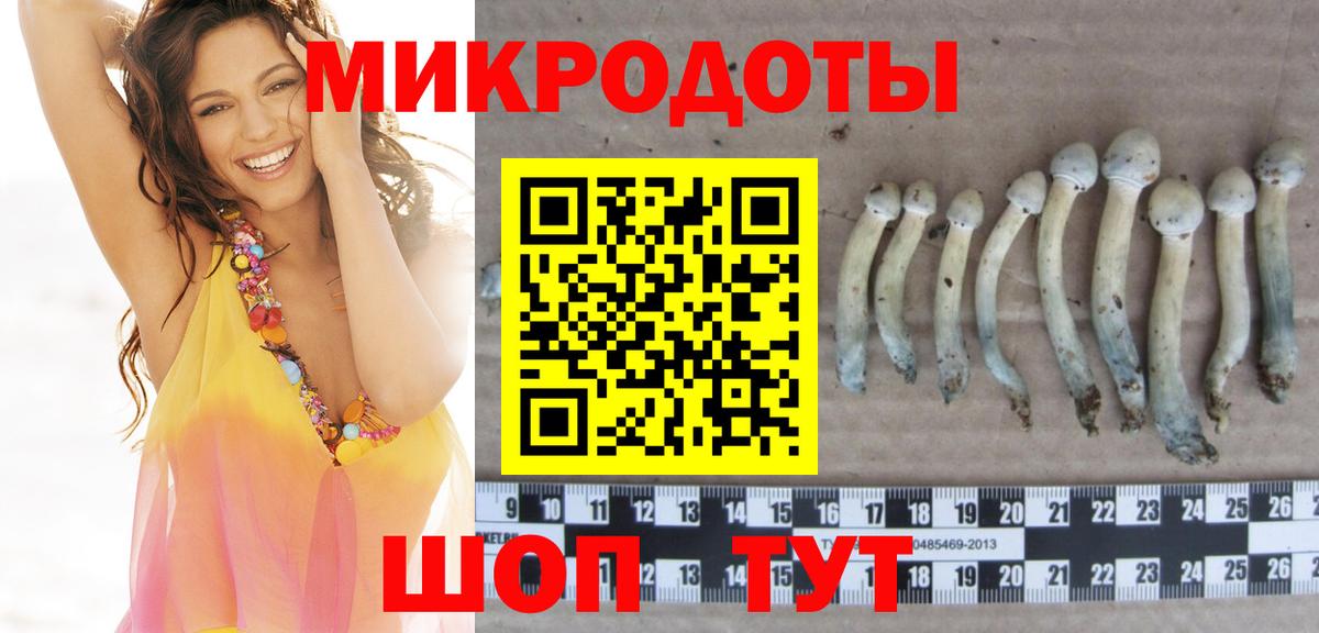 Костомукша  Псилоцибиновые грибы прущие грибы  Вход с VPN  Псилоцибиновые грибы мухоморы 