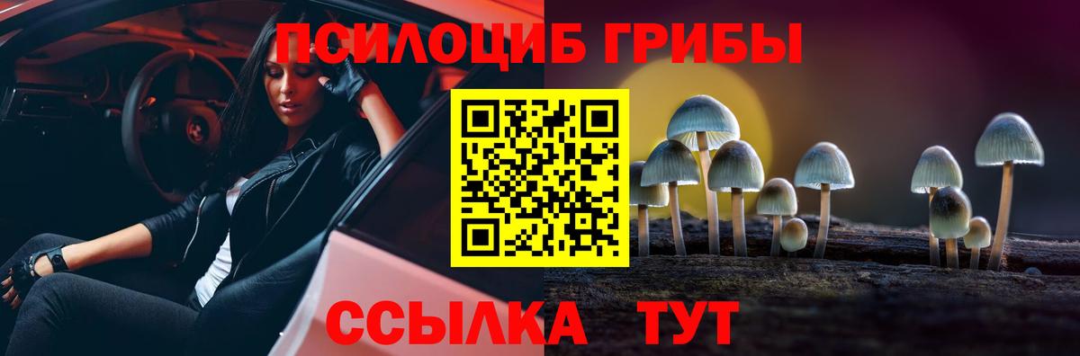 Псилоцибиновые грибы Psilocybine cubensis Костомукша